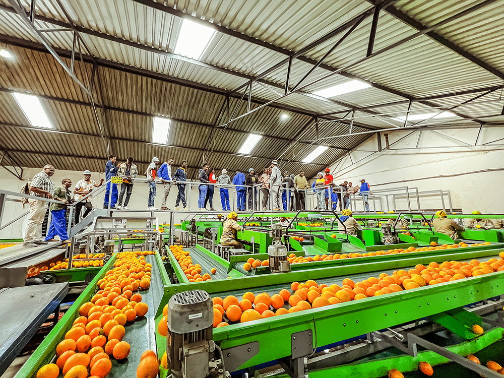 Exposure 1. Integrity of the schools system6